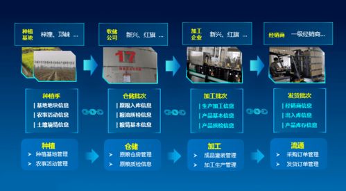 科技賦能，守護“天府糧倉”——川糧集團以全產業鏈云碼溯源引領糧油質量安全新標桿